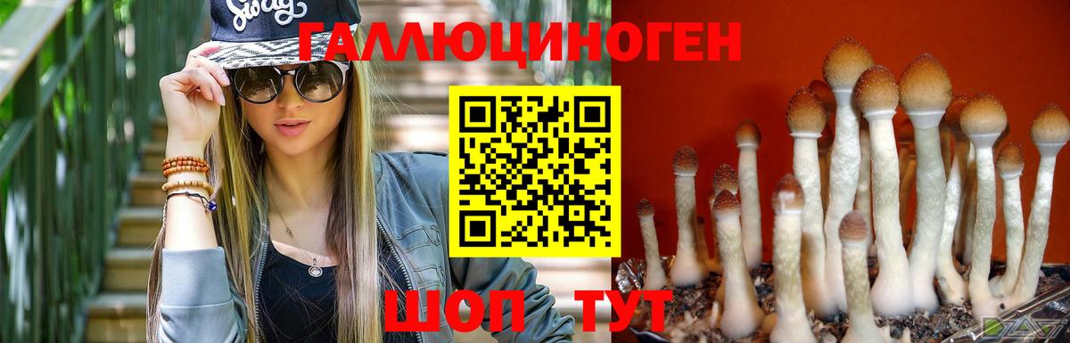 Борзя  Галлюциногенные грибы MAGIC MUSHROOMS  Вход с VPN  Псилоцибиновые грибы Magic Shrooms 